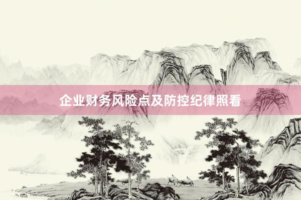 企业财务风险点及防控纪律照看