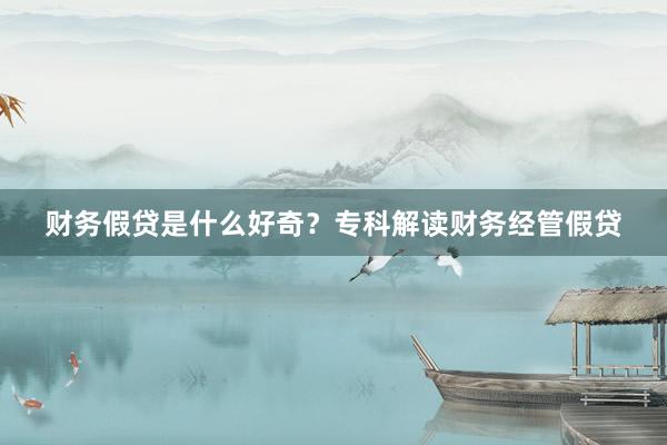 财务假贷是什么好奇？专科解读财务经管假贷